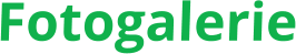 Fotogalerie